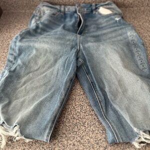 American Eagle NWT Curvy Mom Jeans